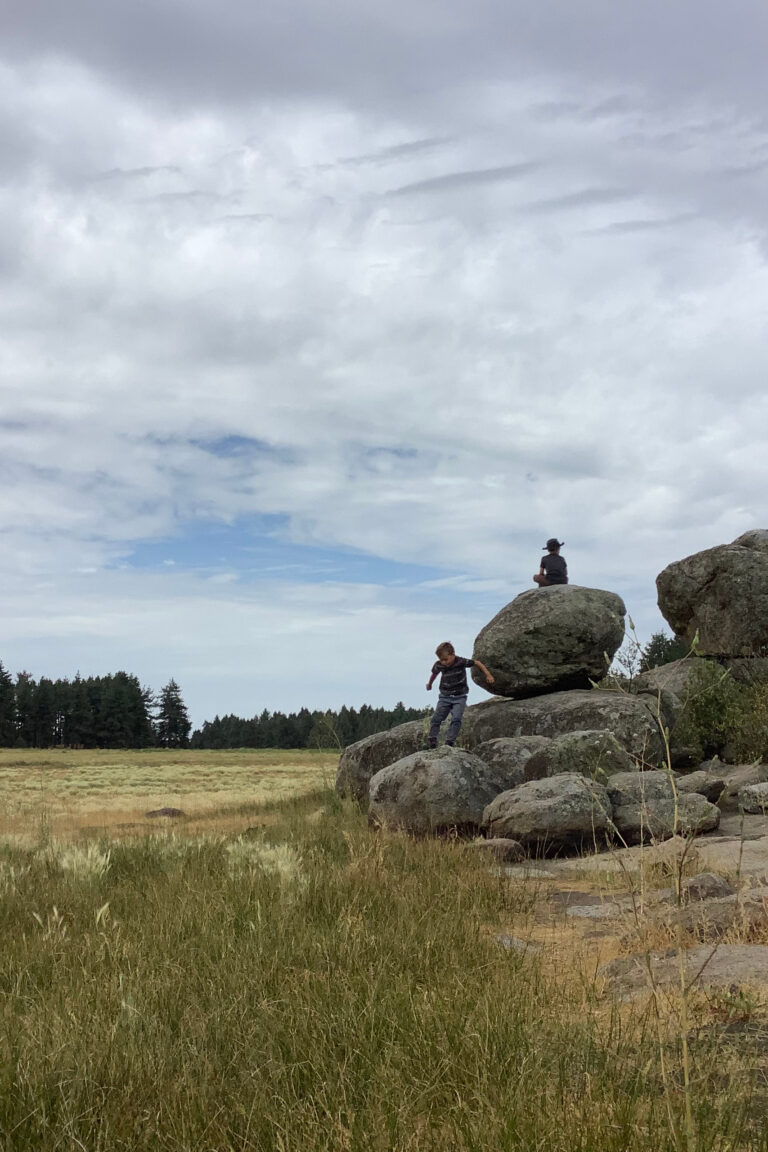 two boys playing on boulders at Laguna Meadow