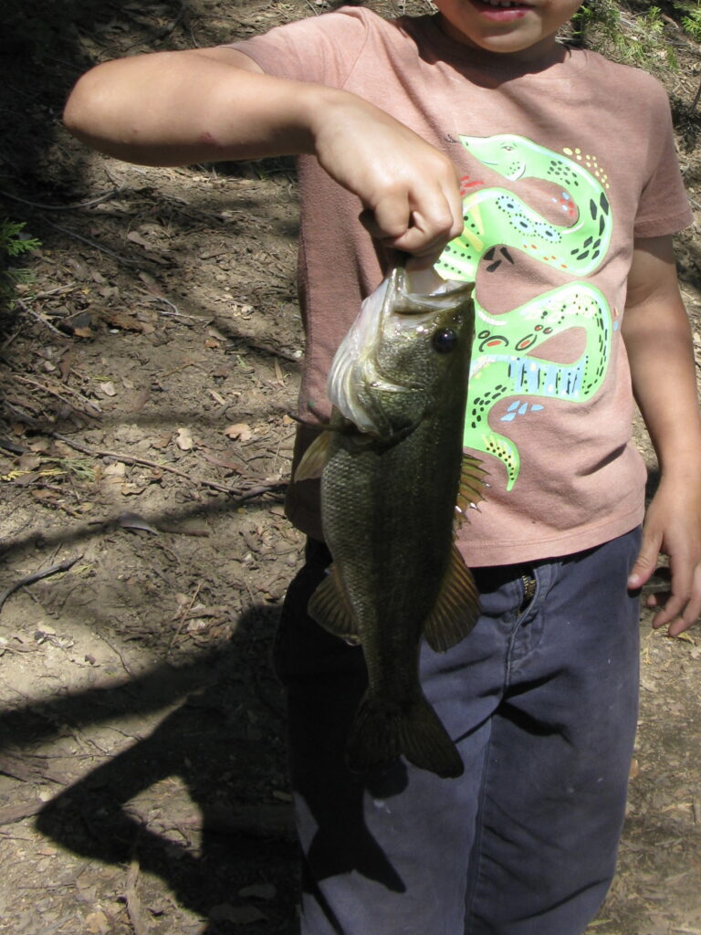 Boy holding largemouth trout for catch and release.